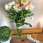 Domaine De Pierre Blanche * Pern