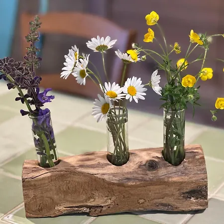 Domaine De Pierre Blanche