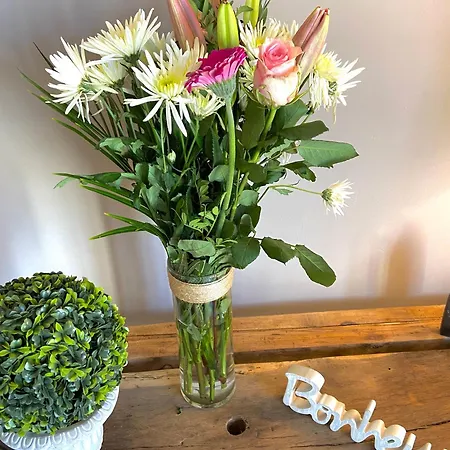 Domaine De Pierre Blanche * Pern