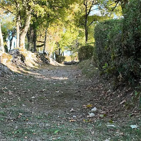 Domaine De Pierre Blanche Gæstehus *