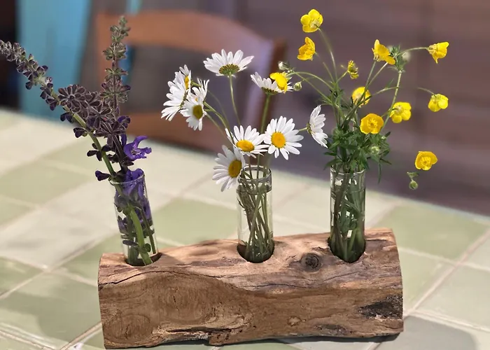 Domaine De Pierre Blanche