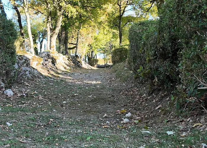 Domaine De Pierre Blanche Pensión *